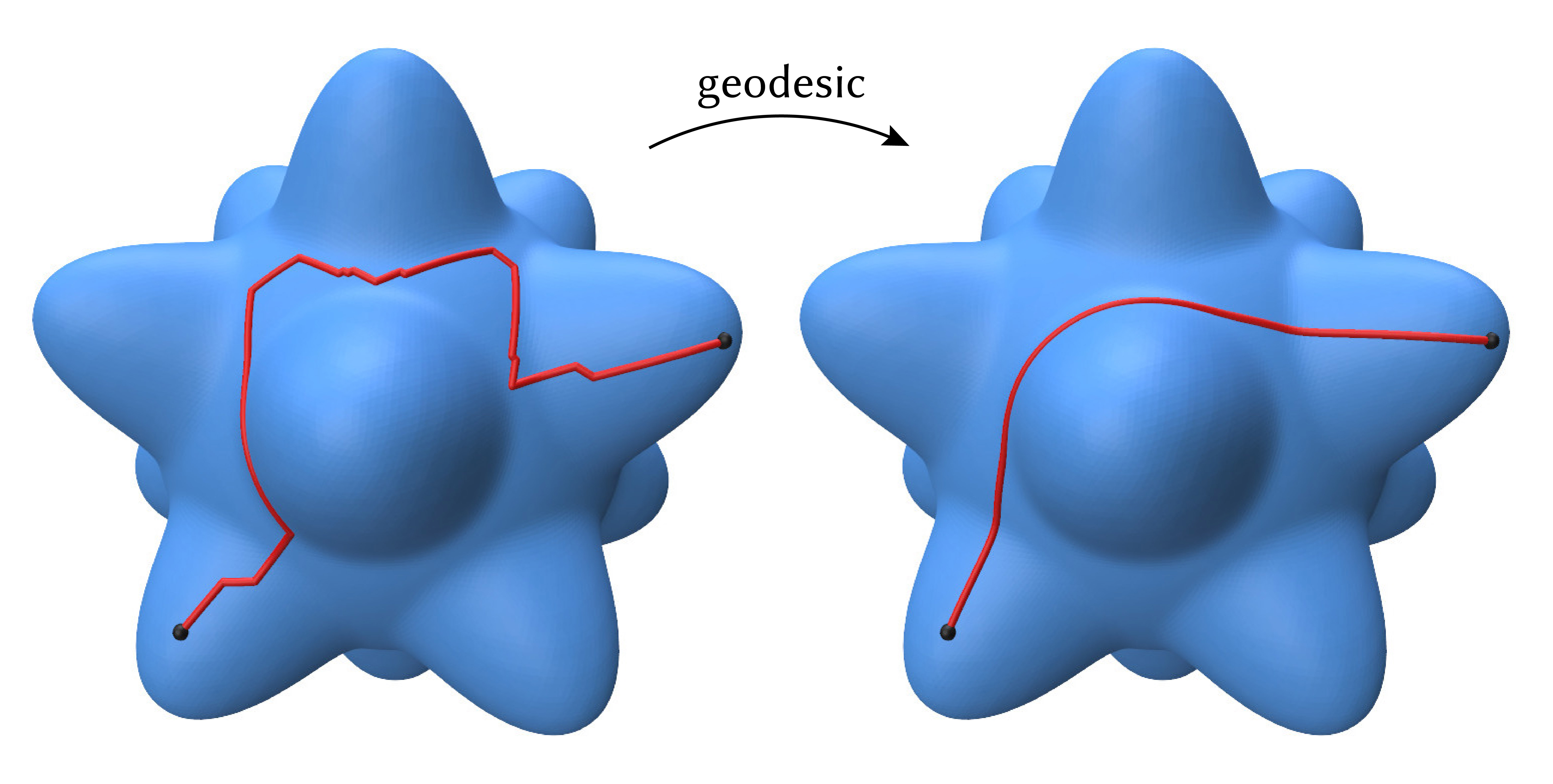 shorten path to geodesic